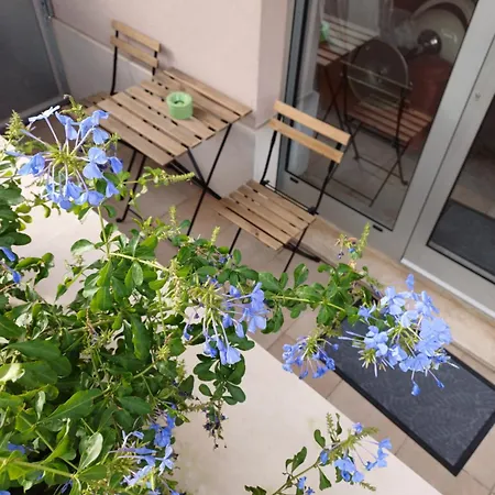 Zenta With Free Private Parking